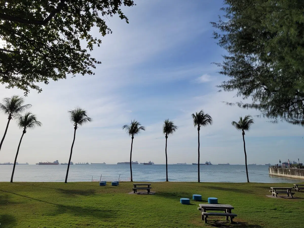 东海岸公园处处是宜人景色。（许淑美摄）