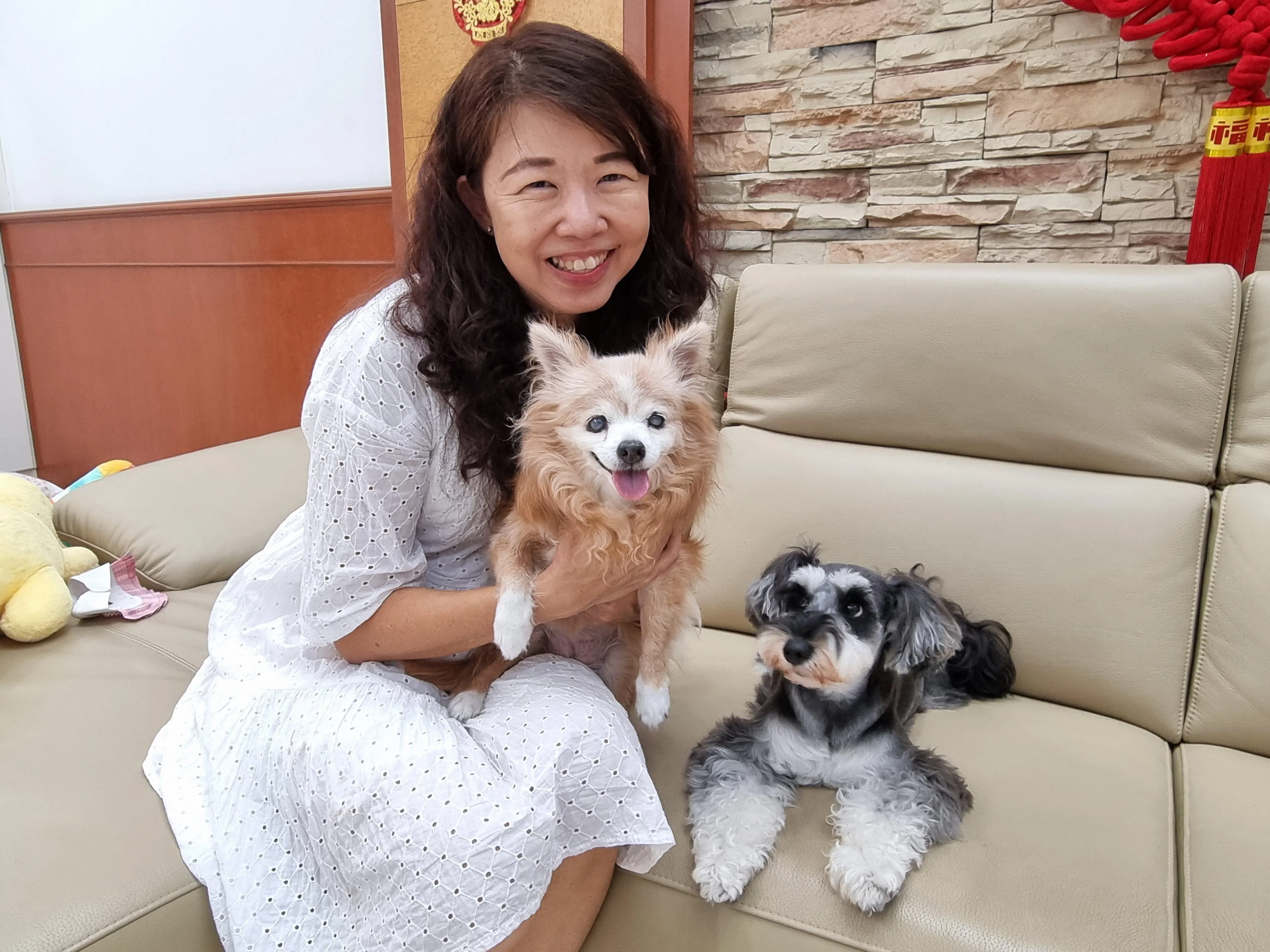 陈慧新抱着患有青光眼致盲的Haru，Mochi静坐一旁，不会吃醋。（林弘谕摄）