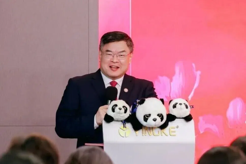 盈科律所创始人梅向荣融资担保暴雷  据悉已向警方自首