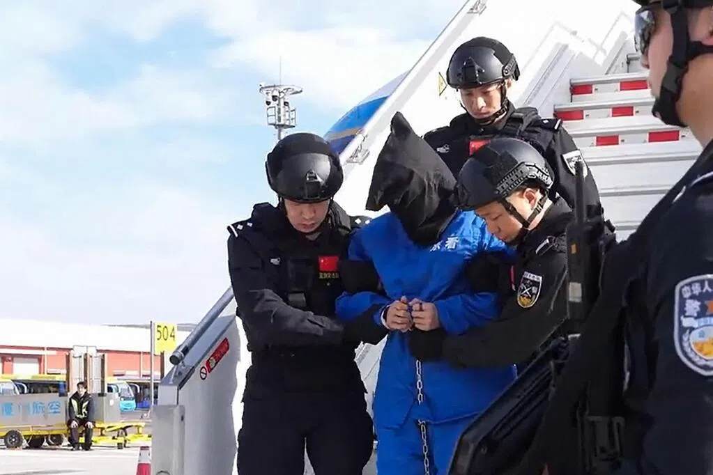 下午察：“电诈之王”陈志的中国往事