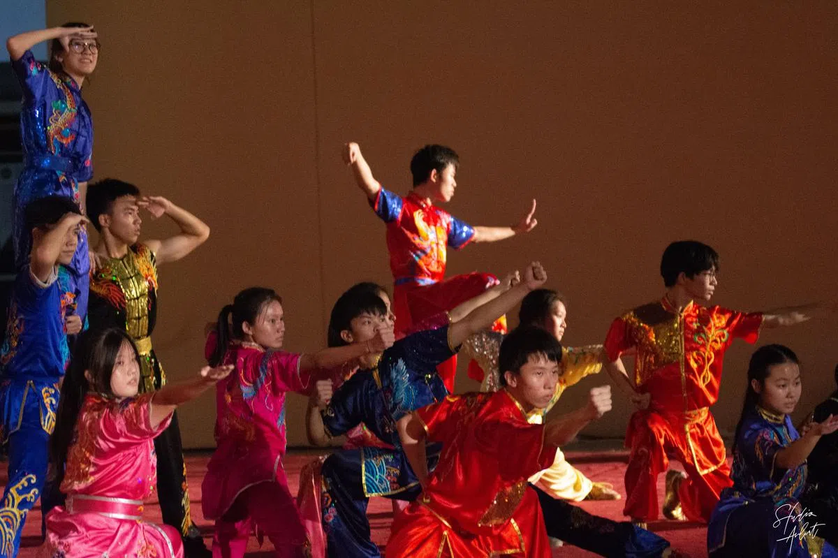 武术队员刚劲有力、整齐划一的动作，是平日辛勤苦练的成果。（华中摄影学会提供）