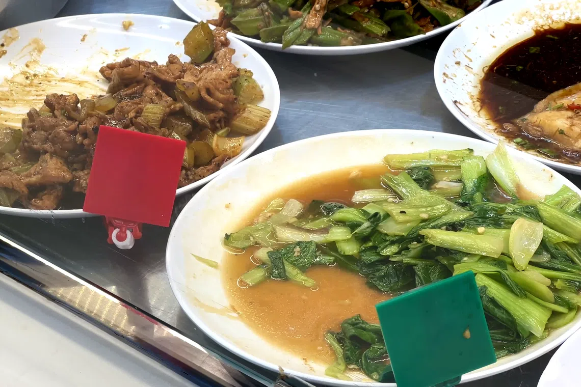 蔡厝港62街大牌624座组屋Kopitiam Corner杂菜饭档口的经济餐菜品选择有限，但营养均衡，分量也不比普通餐少。（严宣融摄）