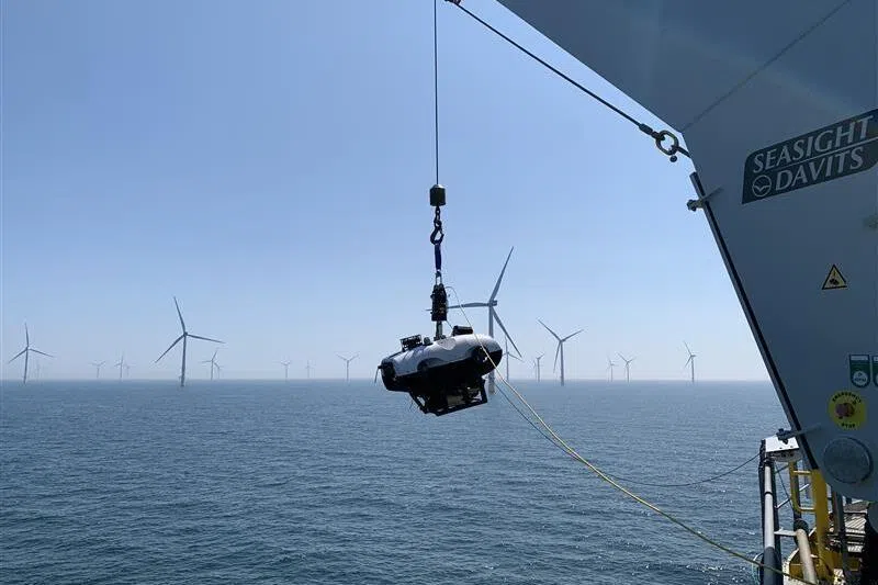 BeeX研发的机器人自2020年以来在德国、台湾等地投入使用，用于检测风能场等项目的结构。（BeeX提供）