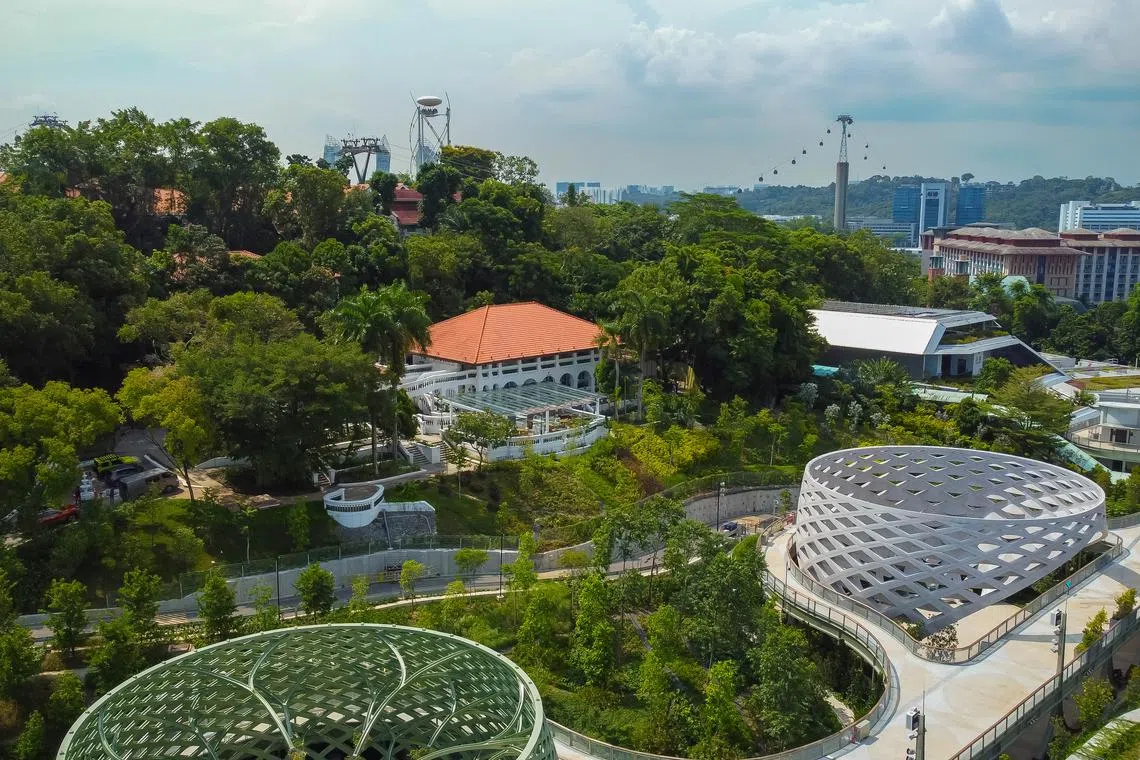 到1-Flowerhill多品牌餐区用餐，可欣赏圣淘沙风景。（餐馆提供）
