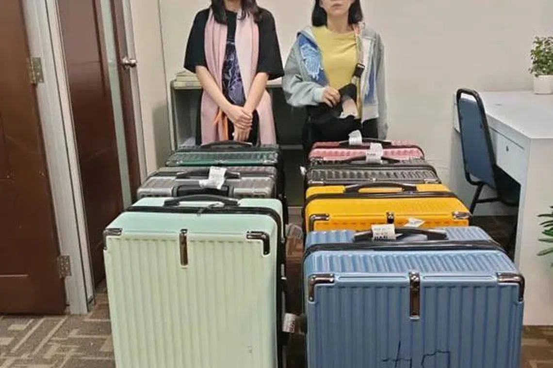 马来西亚当局执法人员在吉隆坡国际机场，逮捕两名欲携带七个大行李箱飞往越南河内的女子。（南洋商报）