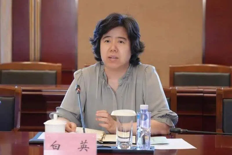“准70后”白英履新辽宁副省长 省政府领导层唯一女性
