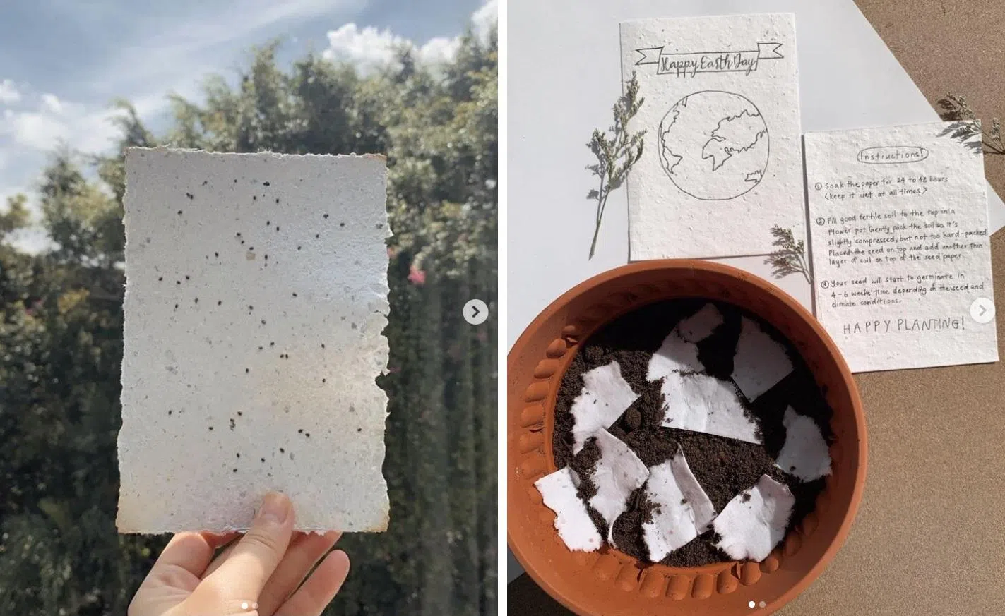 Print N Matters的人气产品之一是含有种子的手工再生纸，撕碎后埋入土壤，等种子发芽。（Print N Matters提供）