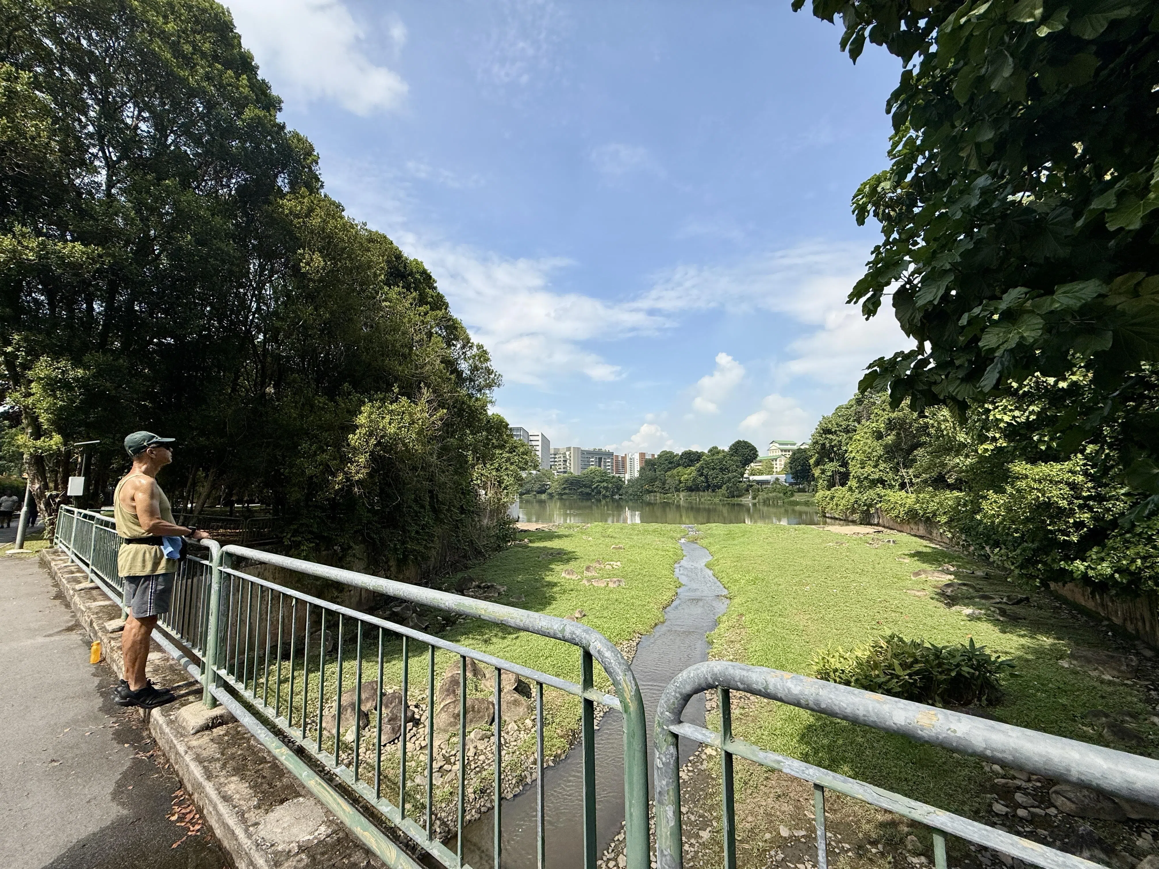 绕义顺池塘步行，不时看见有街坊驻足欣赏水景。（陈映蓁摄）