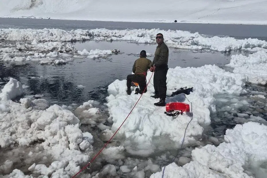 智利安第斯山脉雪崩 造成三死四伤