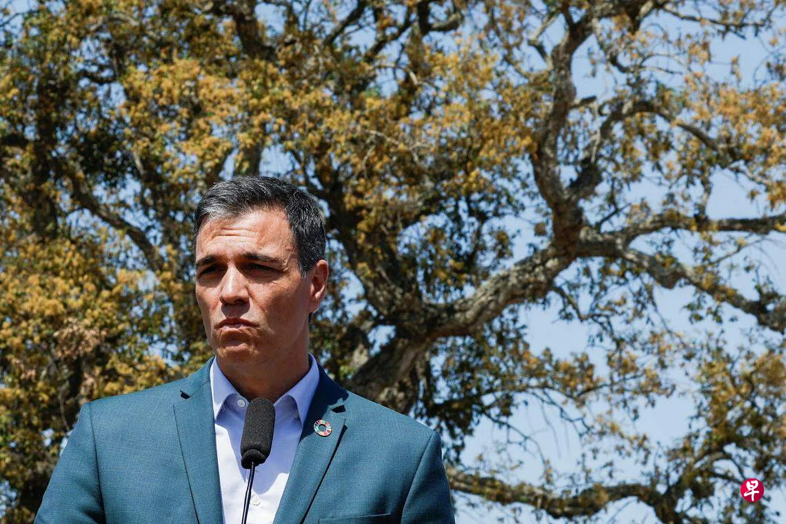 民调：西班牙地方选举将使总理桑切斯陷入困境| 联合早报