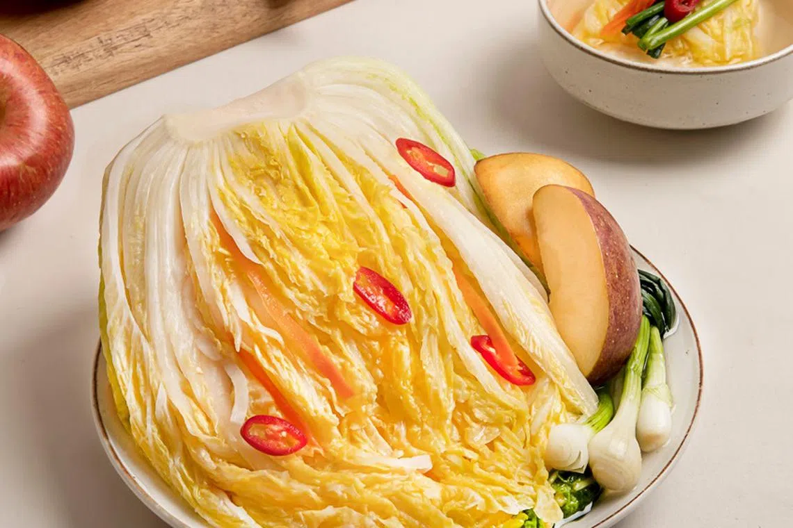泡菜也走入精致餐馆，大厨们较常使用白泡菜，味道没那么辛辣，可搭配不同食材。（SoGoodK提供）