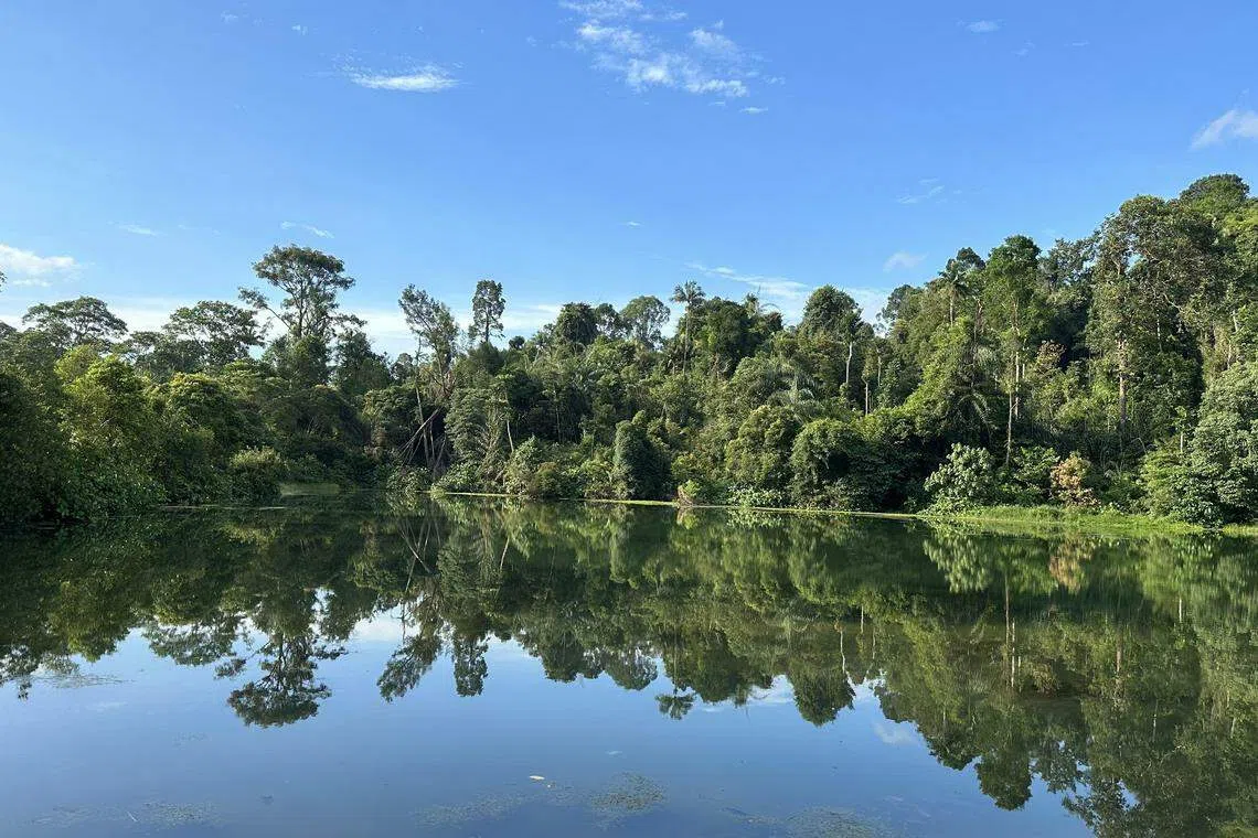 在徒步过程中，大家会去很多平时不会走访的地点，当经过一些风景秀丽的地方，也都能拍出好看的照片。（受访者提供）