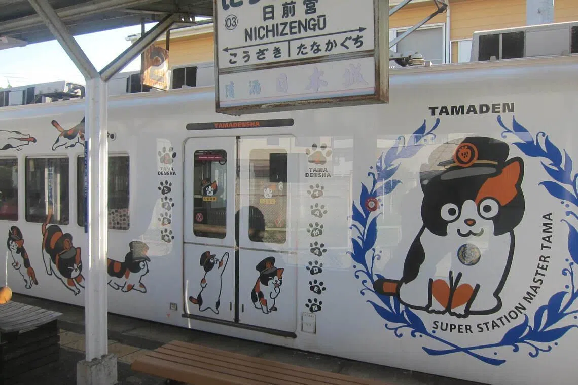 往返贵志站的列车有多款主题电车。图中为以猫站长“小玉”卡通形象设计的小玉电车外观。（苏杭提供）