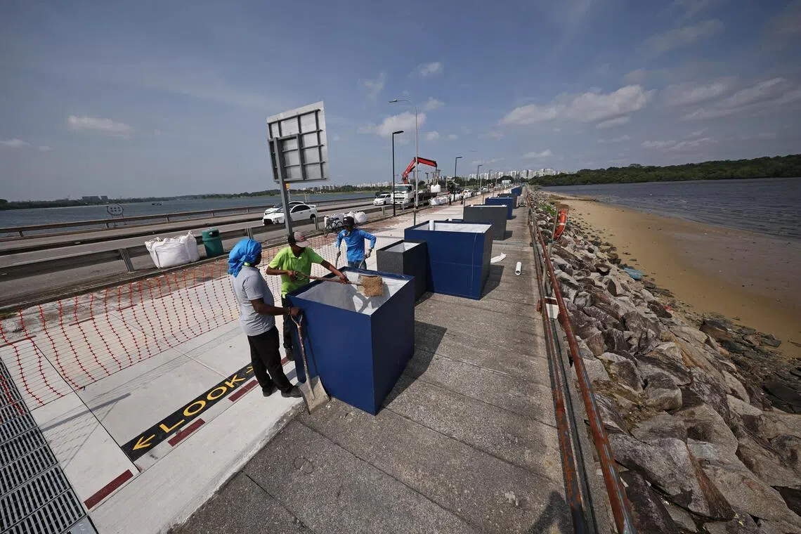 新公园连道沿途相隔放置了大型花箱，还有一袋袋的泥土。工人给花箱灌土，为绿化工作做准备。（陈渊庄摄）