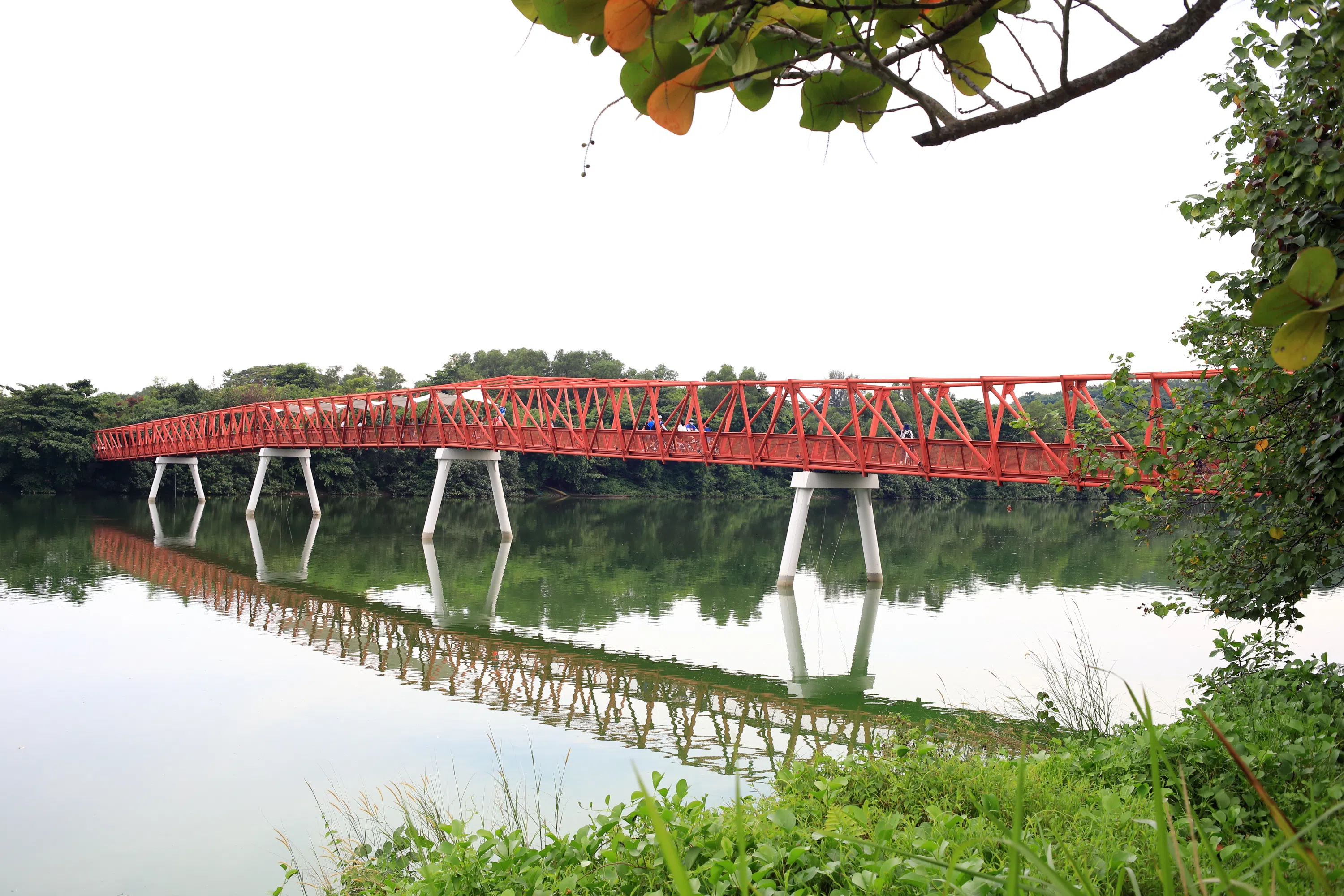 实龙岗蓄水池的红桥。（子旋摄）
