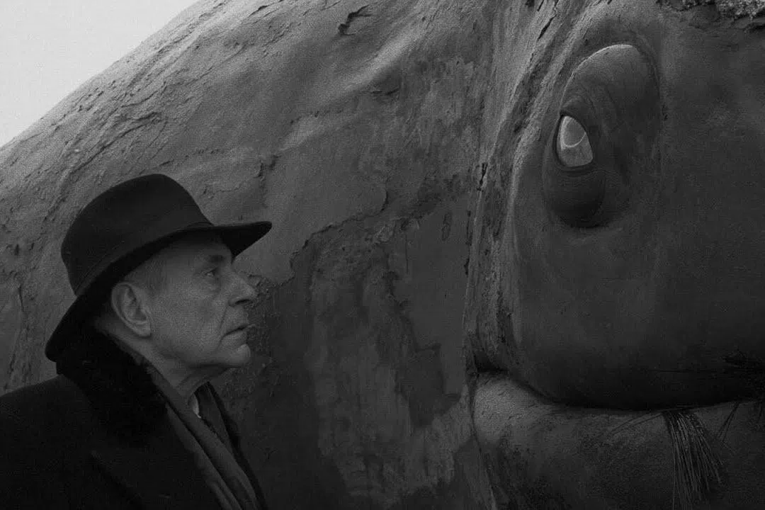 电影《鲸鱼马戏团》改编自克劳斯瑙霍尔凯《反抗的忧郁》。（互联网）