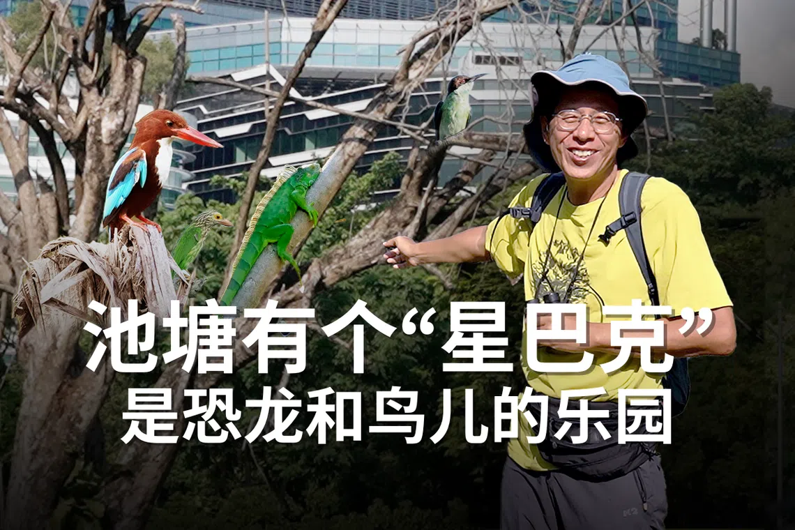 （档案照）