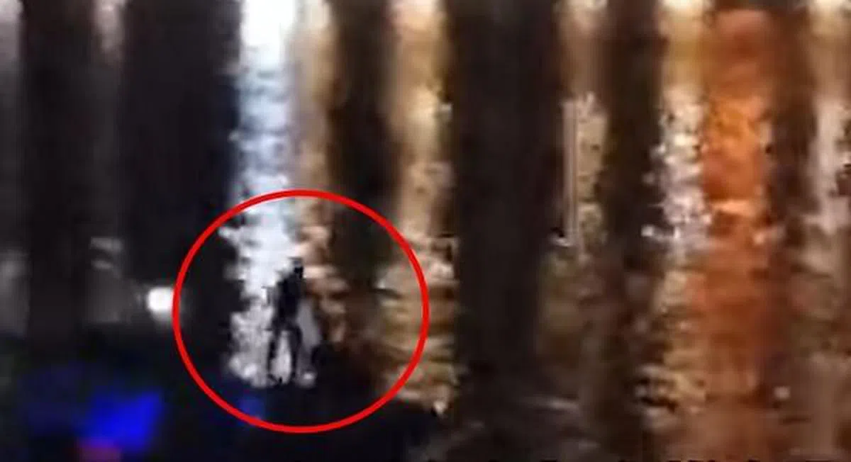 有目击者称拍到一男一女在船头拉扯。（互联网）