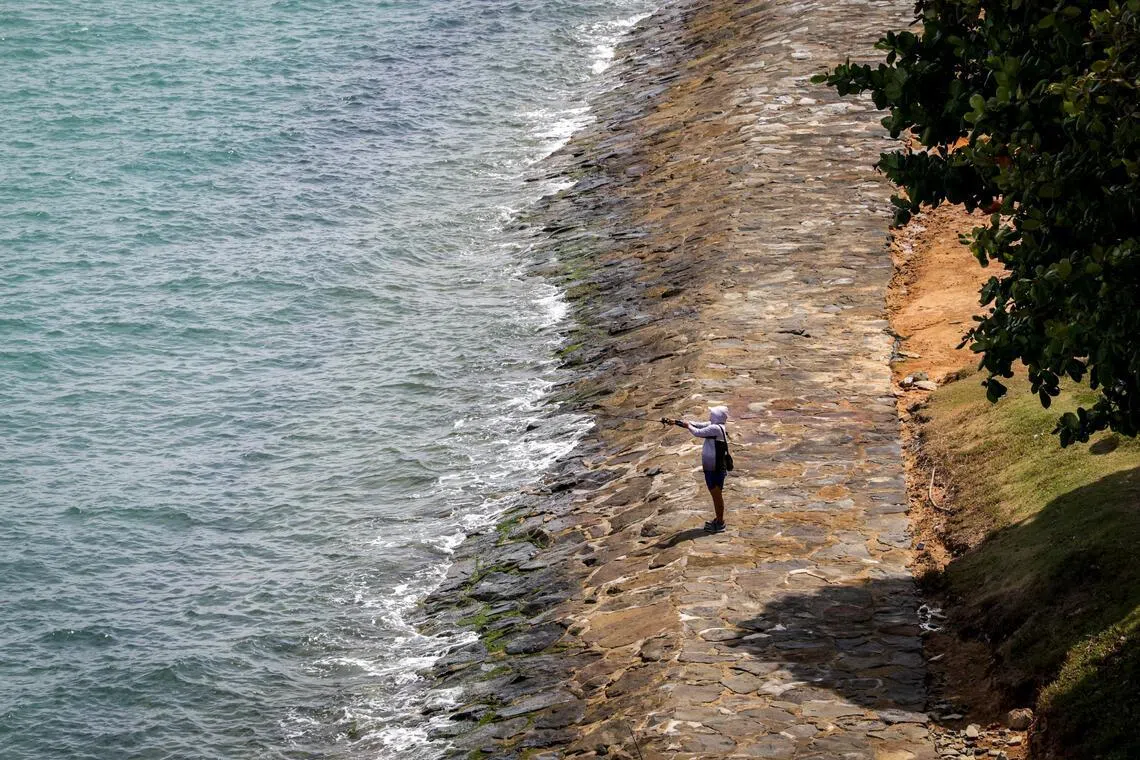 我国早前发布的第三次全国气候变化研究报告指出，如果碳排放居高不下，新加坡周围的平均海平面到本世纪末可能上升0.54米至1.15米。（叶振忠摄）