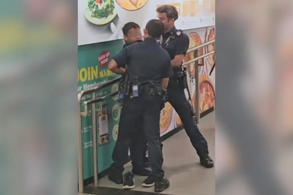 遇警检查露馅 通缉犯被捕