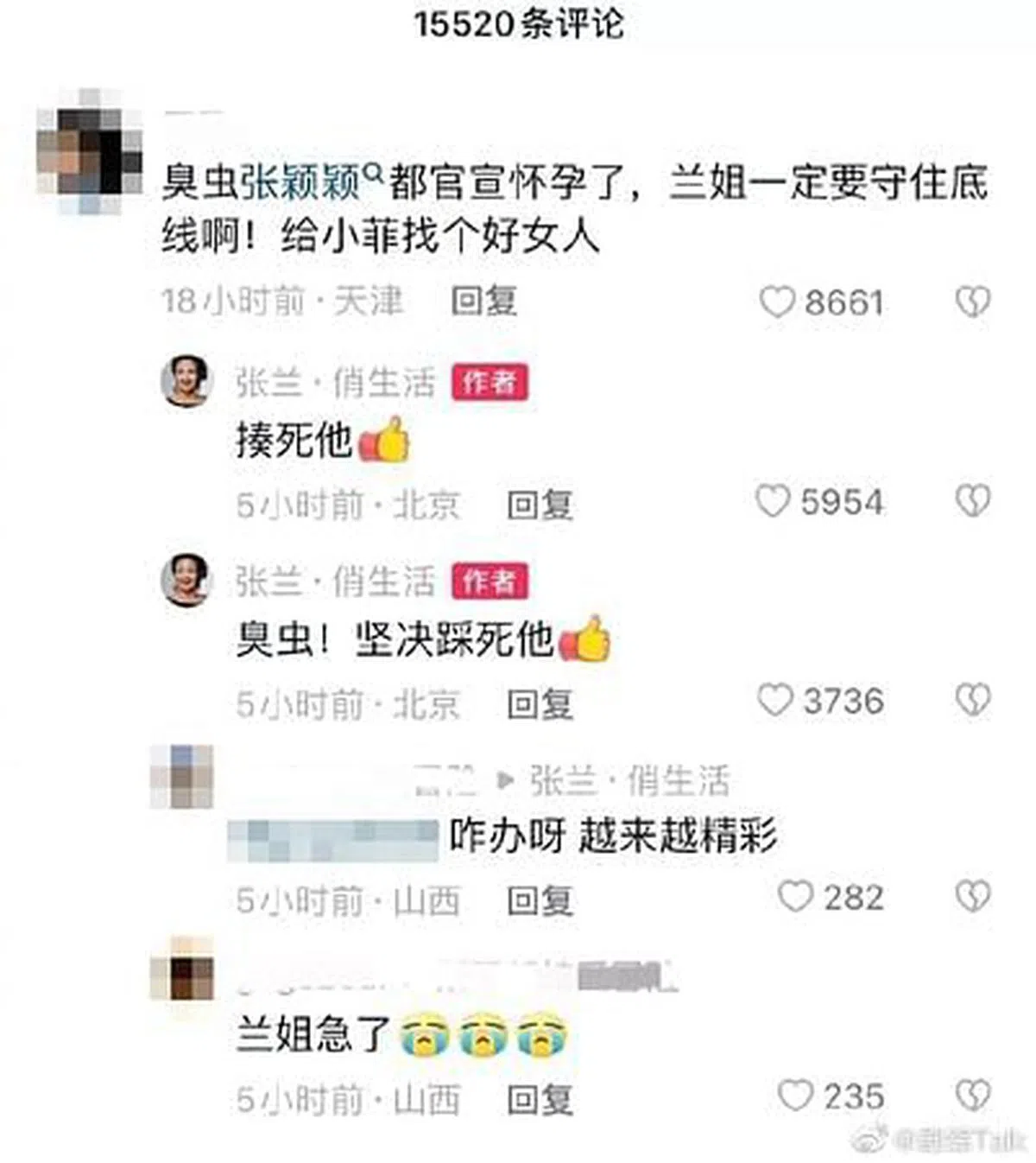张兰回复网民留言。（互联网）