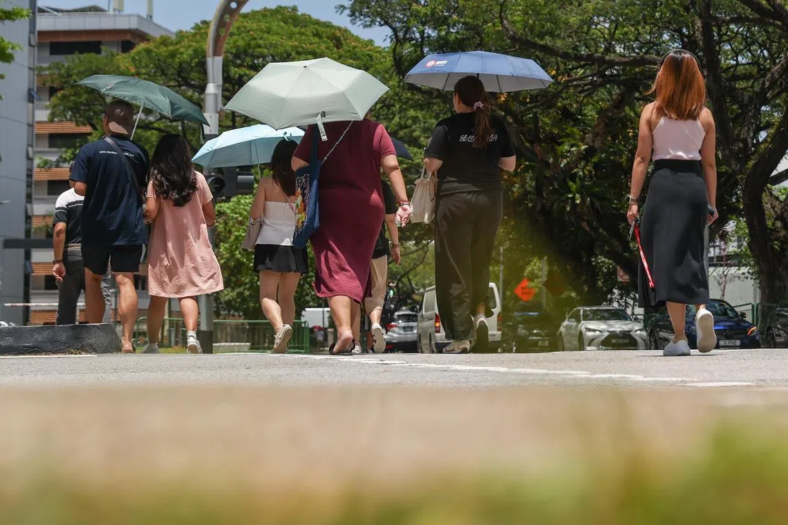 拉尼娜现象渐退，今年较迟很可能过渡到升温的厄尔尼诺现象，使得我国下半年的天气更炎热，也预料有更多天会处在高热应激水平。（白艳琳摄）