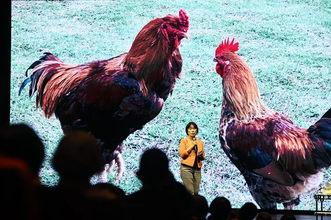 龙应台6月28日携新著作《注视—都兰野书》，在新报业媒体华文媒体集团主办的第三届城市阅读节其中一场活动中，与近800名读者分享了自己近年来在台东山林野居的感悟。（陈渊庄摄）