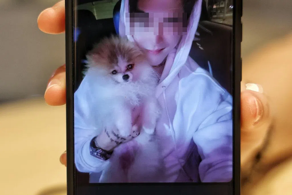 交流站：数码浪潮中的交往