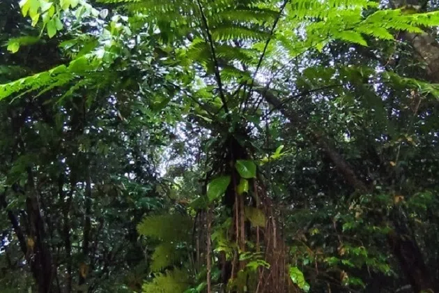 野地上寂寞的身影。（作者提供）