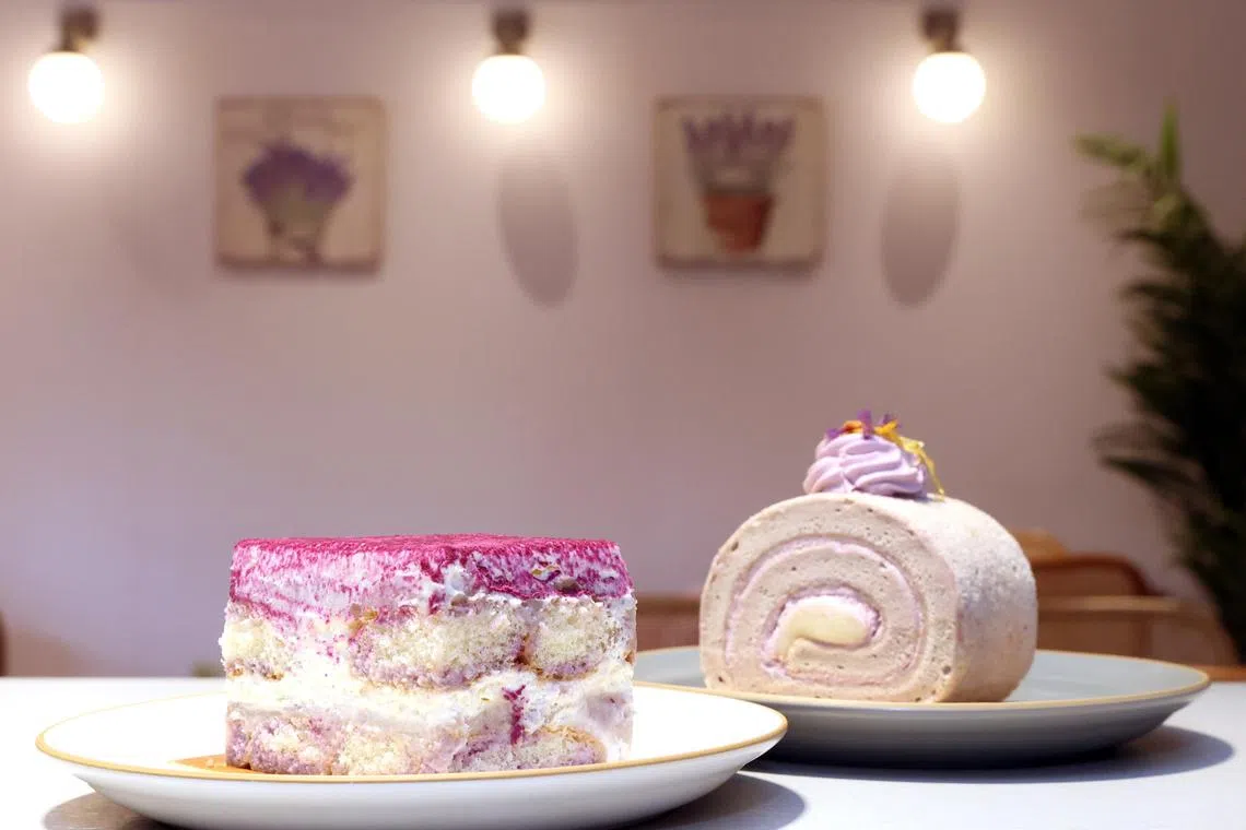 Cafe Lilac by Whisking Bakes的芋泥提拉米苏和芋泥麻糬瑞士卷。（邝启聪摄）