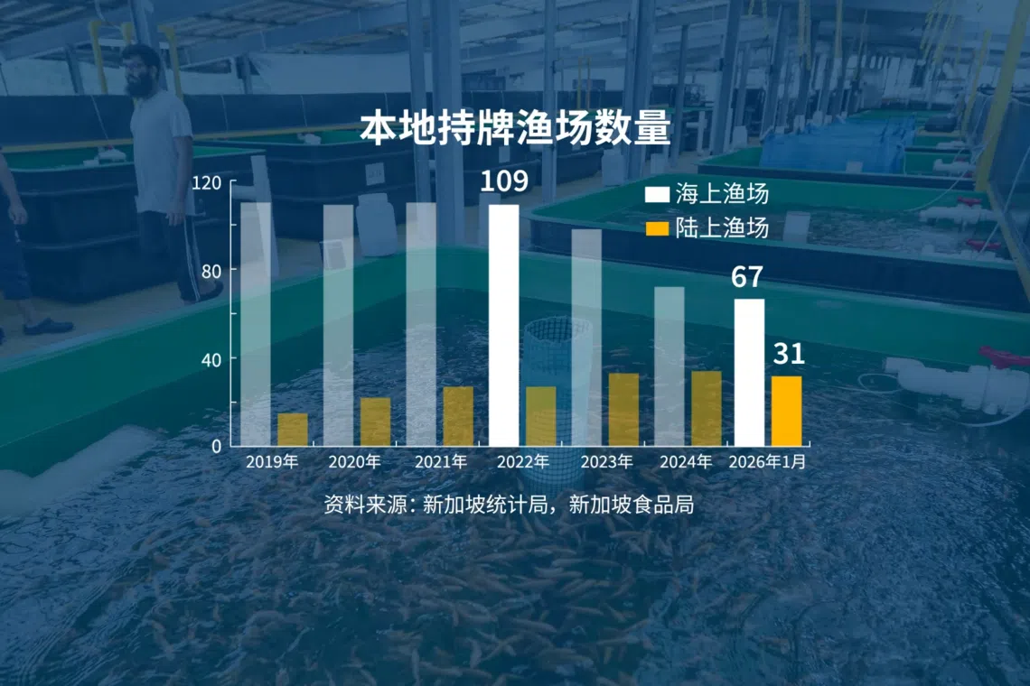 根据官方最新数据，本地整体渔场数量仍呈现下滑情况。（视频截图）