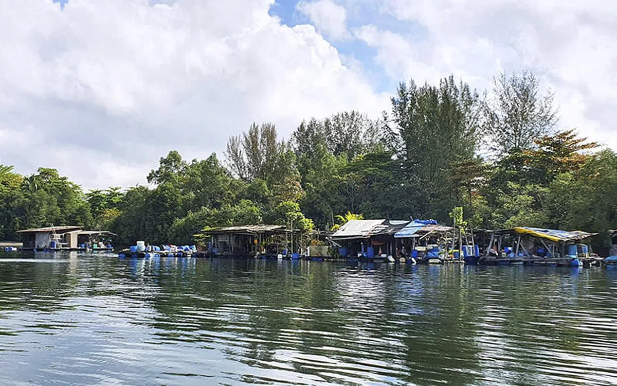 体验奎笼渔民日常，了解可持续海产养殖。（图／“出发吧！新加坡旅游”提供）