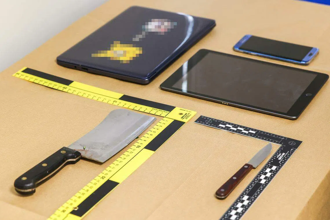 警方起获的证物包括一把菜刀、一把小刀、电脑、iPad和手机等。（陈斌勤摄）