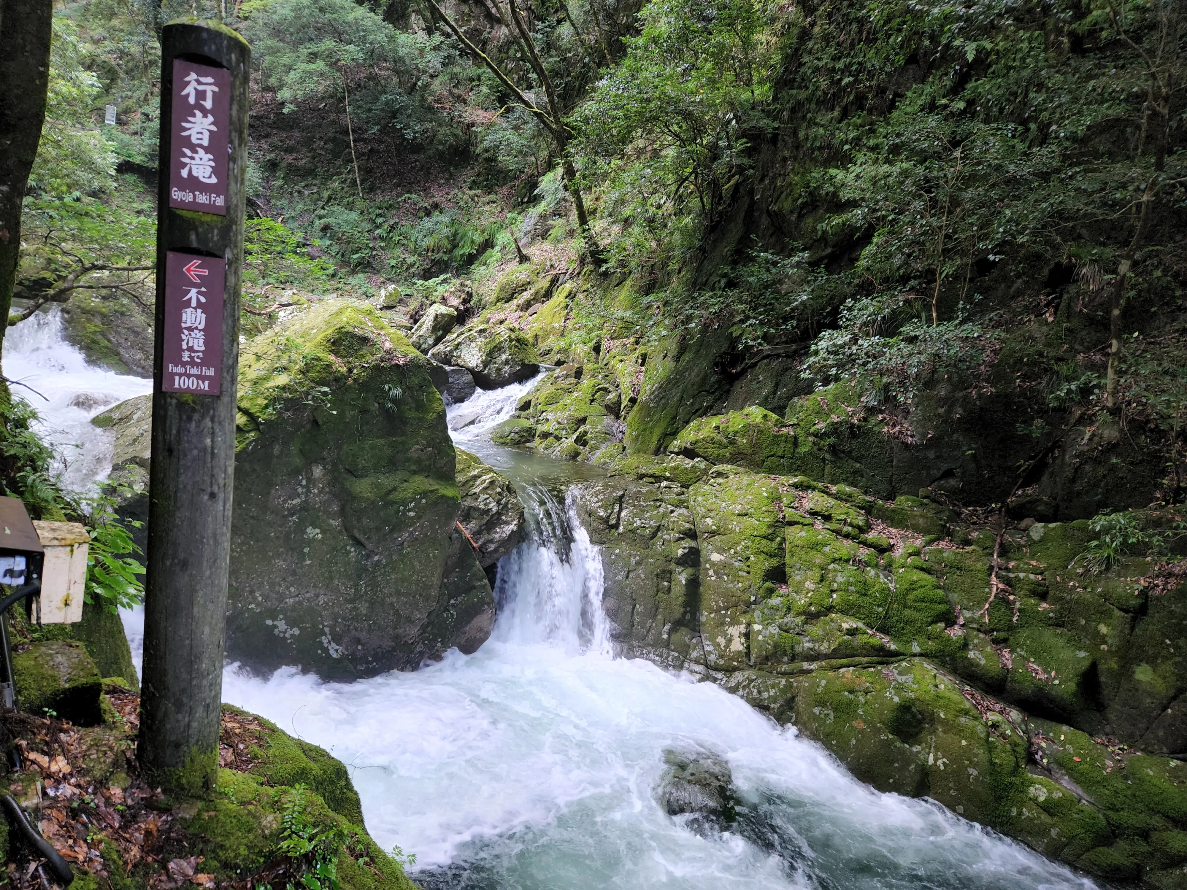 赤目四十八瀑布位于偏远山谷，林木茂盛。15至18世纪时，曾是伊贺流忍者的训练场。（丁威摄）