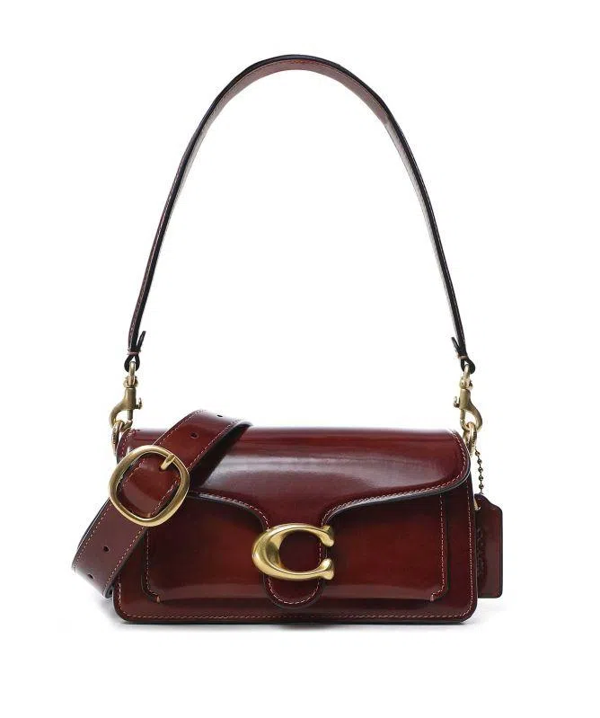 蔻驰经典Tabby包。（Coach图片）