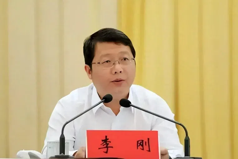 李刚任新疆维吾尔自治区党委常委