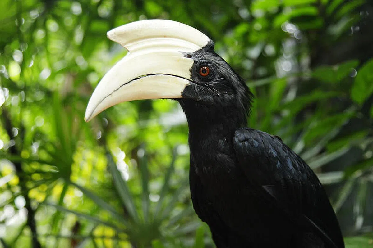 （万态保育集团提供）