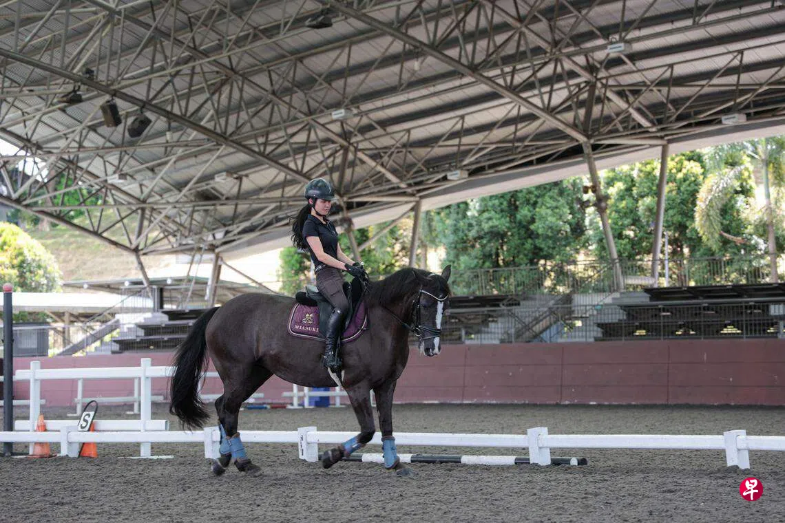 马术马球等体育受影响希望争取场地继续活动| 联合早报