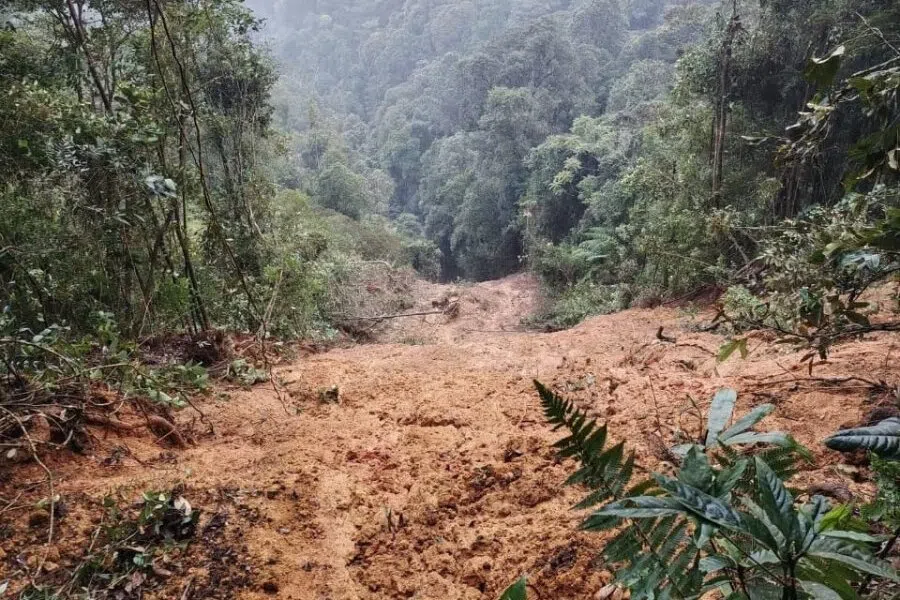 山体滑坡土壤不稳 金马仑四登山路线暂时关闭