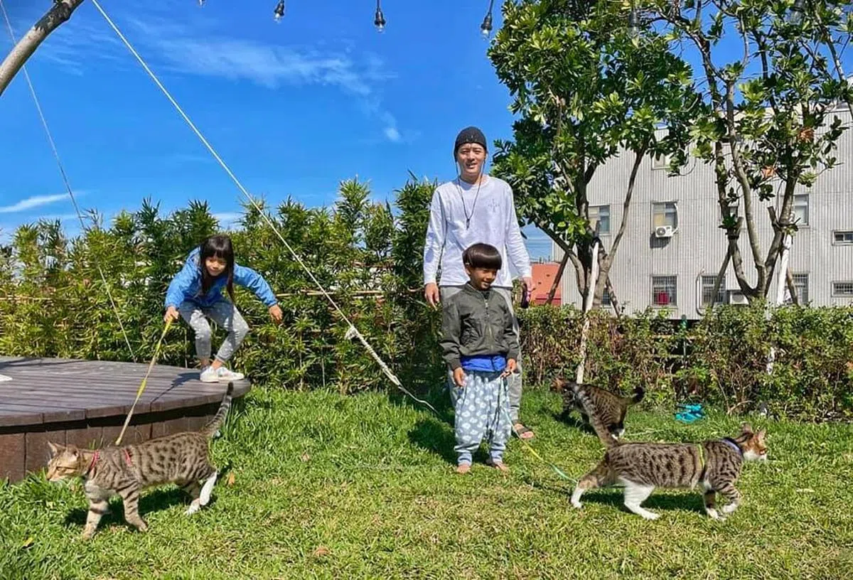 宥胜一家的“迷你屋”包含庭院，占地非常大。