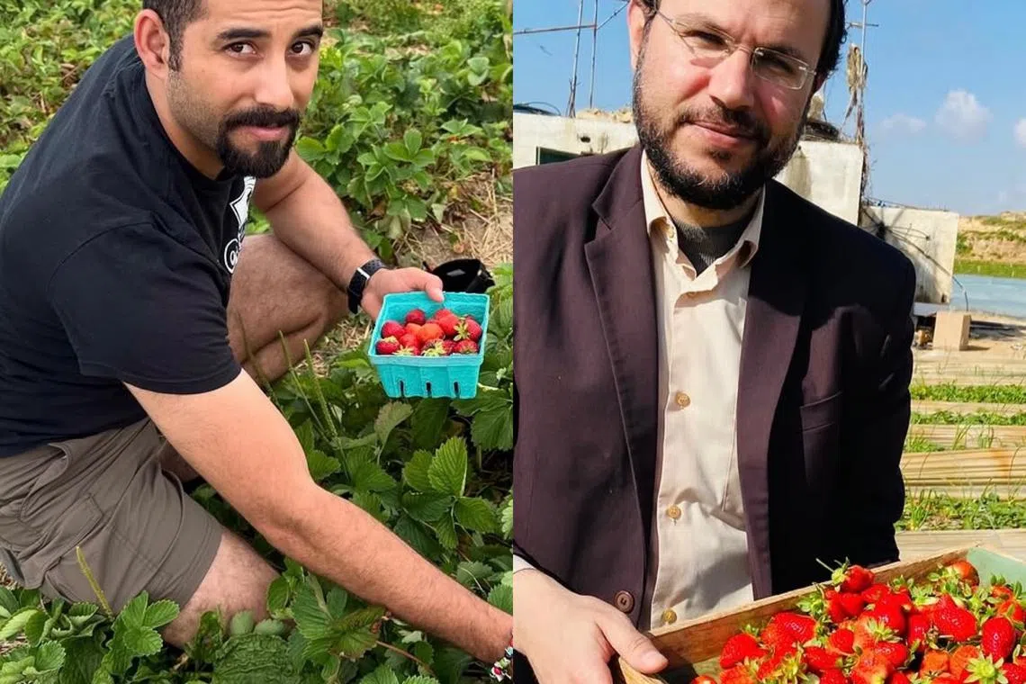 “每采一颗草莓，我都会想起你。”阿布·托哈（左）对另一名巴勒斯坦诗人Refaat Alareer心怀感念，后者两年前在以军的空袭中遇难。（取自Mosab Abu Toha社媒）