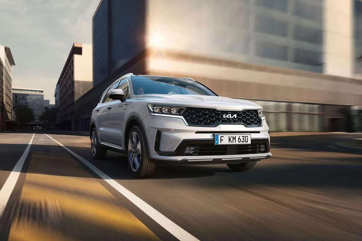 （图/商家提供）