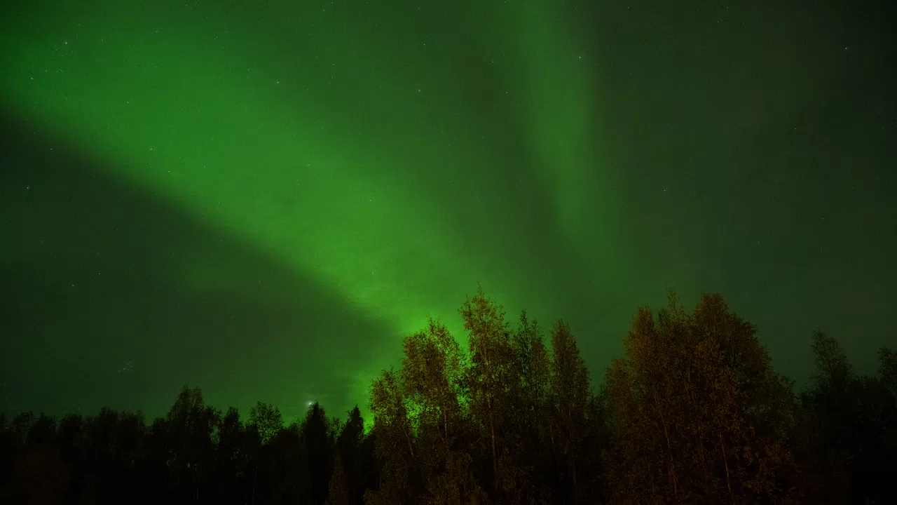 相机显示绿色带状光团，终于看到北极光了！（陈应钊摄）