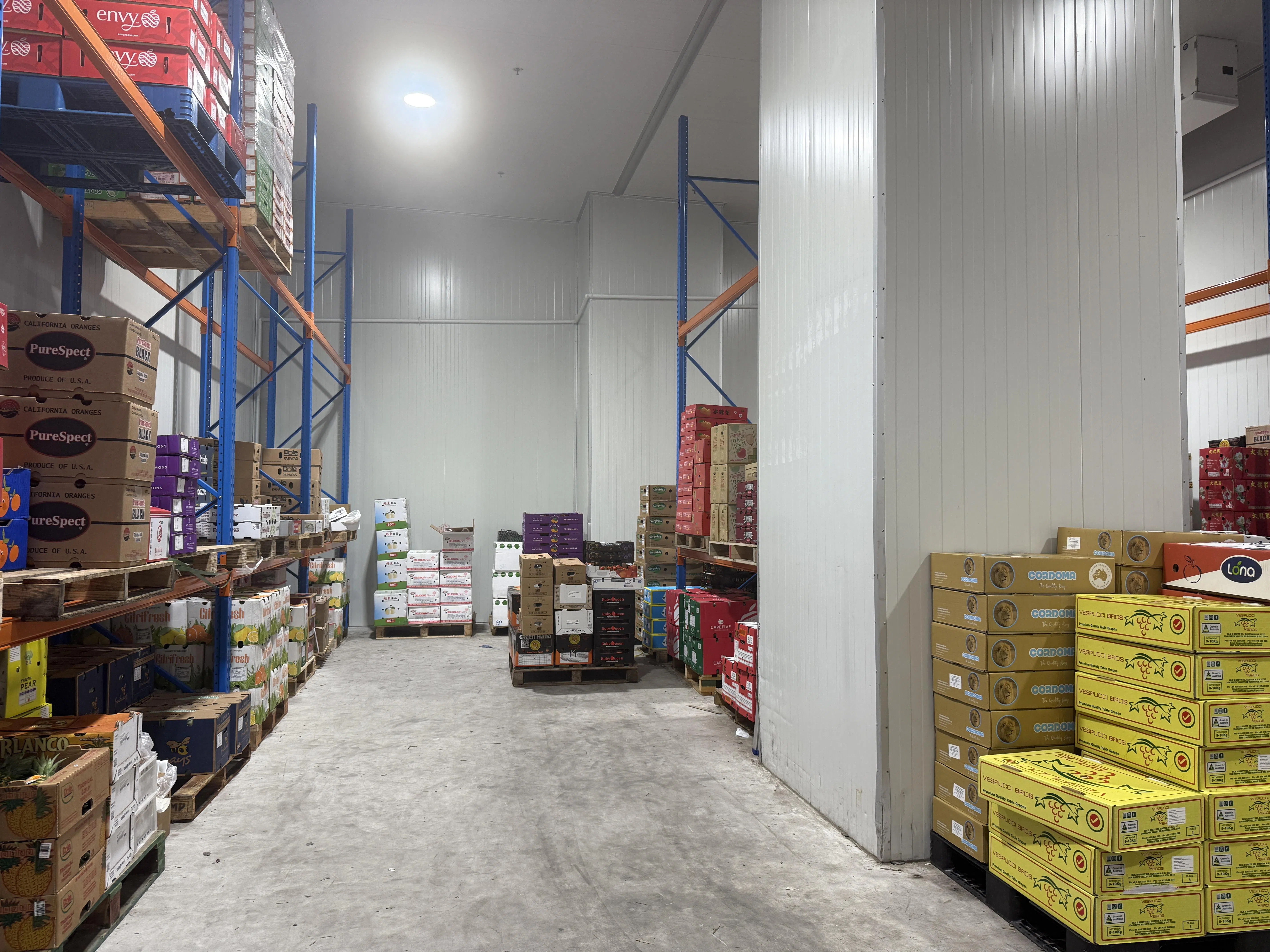 在水果批发商的冷房可以购买“惊喜水果袋”，也能选购一整箱水果。（陈映蓁摄）