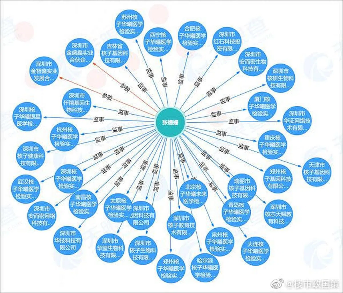 中国网民整理出张珊珊与35家核酸检测公司的关系图。（微博） 