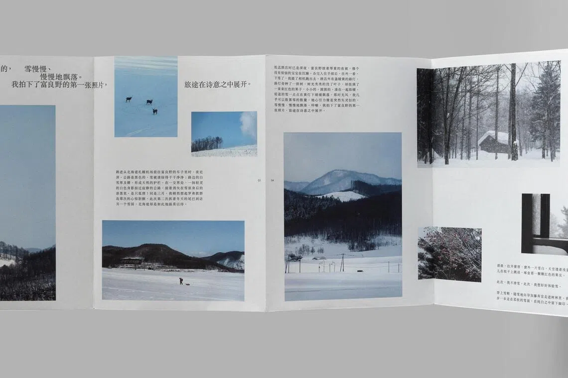 《谁在缝隙里种光》集合24张图文海报。（档案照）