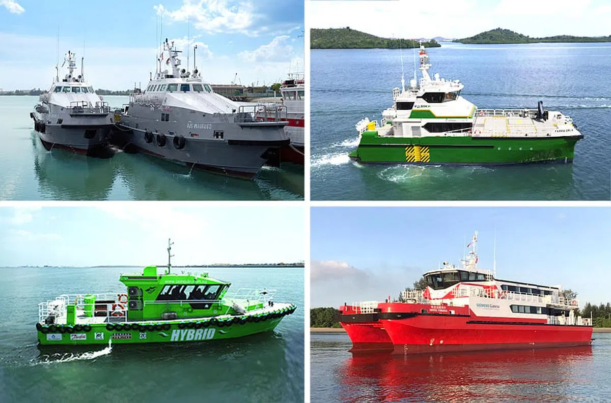 公司旗下的船舶迎合不同的客户需求。（图／新报业媒体，部分由受访者提供）