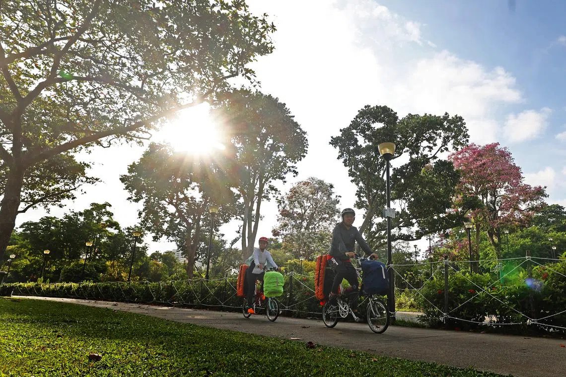 林来福和吴盈莹只要一有时间就会收拾好装备，骑行去露营。（陈渊庄摄）