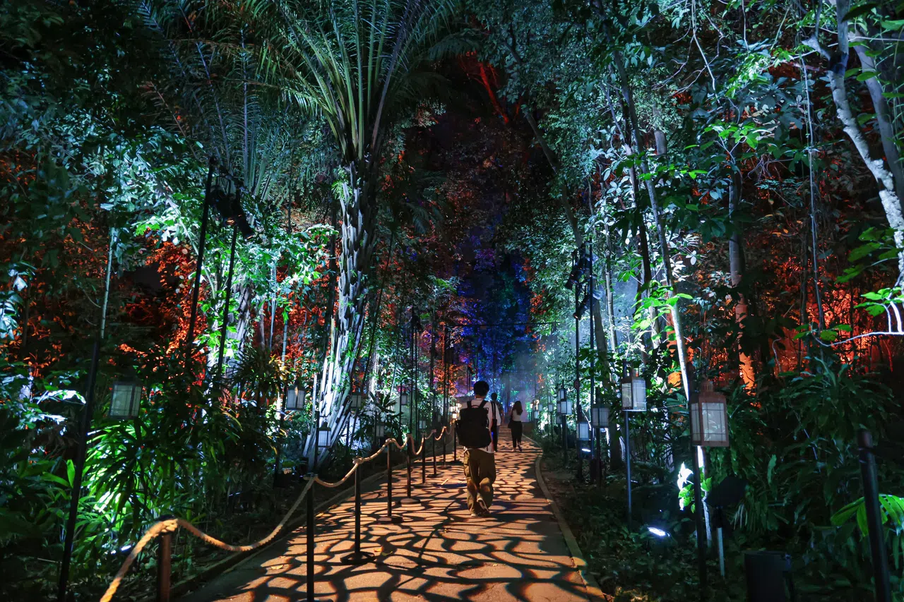 步入灯火点缀的黑暗森林，邂逅魔法世界的神奇动物。（李冠卫摄）