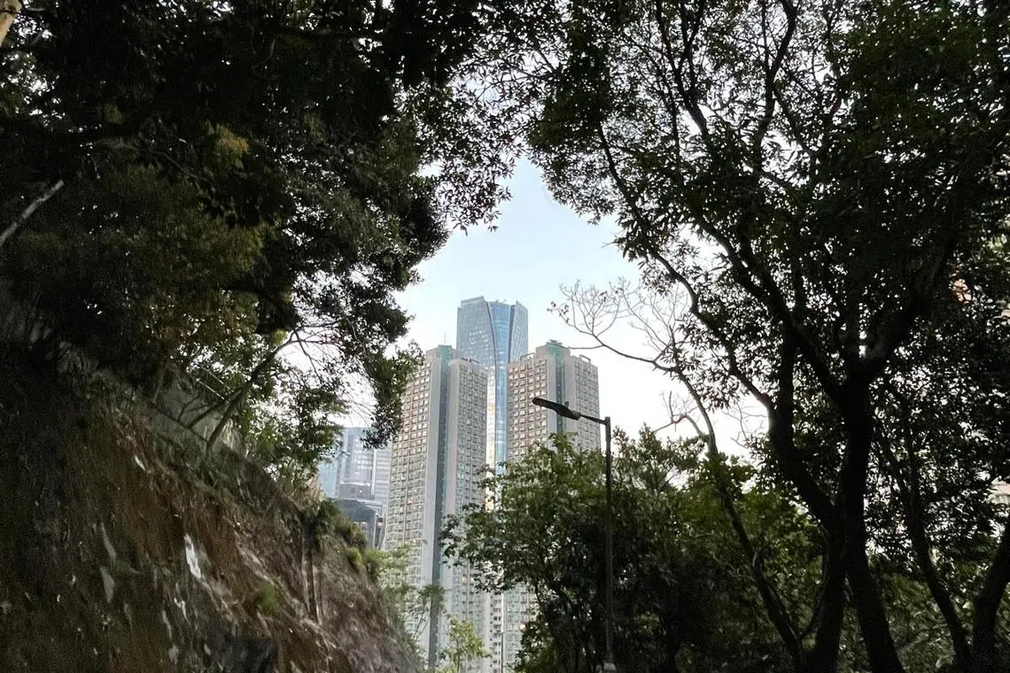 山中赏城一景。（章瑗摄）